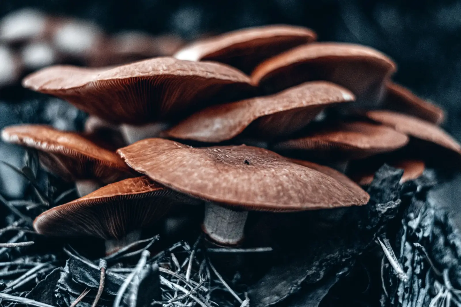 珠三角电子制造业芯片选型指南与性能优化方案