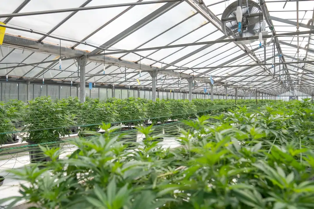 东莞融智润丰微电子解析芯片设计中的低功耗关键技术