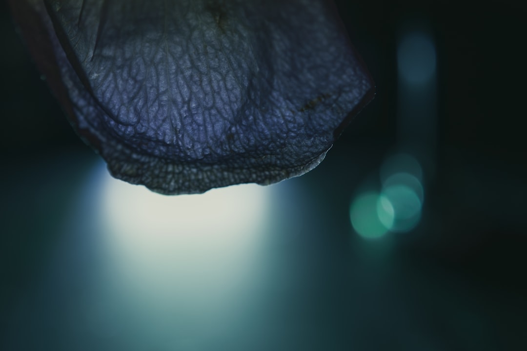 珠三角电子制造企业芯片选型指南：集成电路性能与成本平衡策略